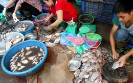 Sự thật mùi cá thối bốc lên từ căn biệt thự hàng xóm