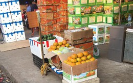 Điểm mặt hai loại hồng giòn Trung Quốc tràn chợ