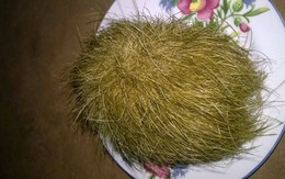 Mổ heo nhặt được “cục tơ” thơm mùi thuốc Bắc