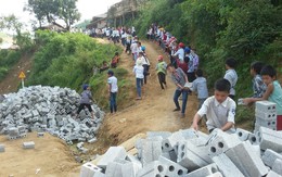 Hình ảnh đẹp của học sinh một trường tiểu học