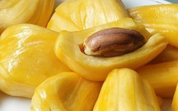 Siêu thực phẩm thế giới ngưỡng mộ, Việt Nam lăn lóc vỉa hè
