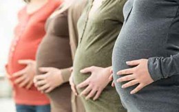 Chấn động Hà Lan: Hàng loạt phụ nữ bị bơm nhầm tinh trùng