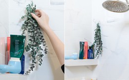 12 cách thông mình khử mùi mọi ngõ ngách trong nhà