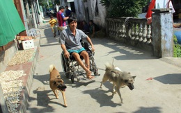 Cỗ xe tứ cẩu 'siêu độc' của người đàn ông liệt chân
