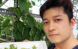 Đã mắt vườn rau trên mái của nhà thiết kế Thuận Việt