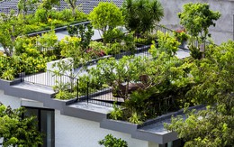Ngôi nhà có khu vườn treo tuyệt đẹp ở Nha Trang