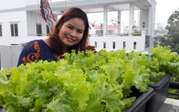 Thèm ẩm thực quê, gái 8x trồng cả vườn rau cho cả nhà thưởng thức