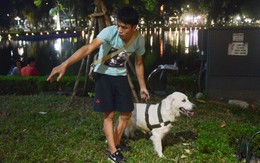 Người Hà Nội vẫn "vô tư" dắt chó không rọ mõm vào phố đi bộ