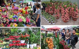 6 chợ hoa Tết nổi tiếng của Hà Nội