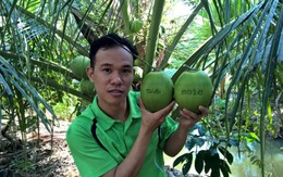 Hành trình của chàng trai làm nên thương hiệu “dừa Phú Quý”