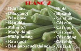 Lịch rau trồng theo mùa chị em cần biết