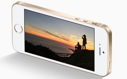 5 smartphone thay thế hoàn hảo cho điện thoại iPhone SE