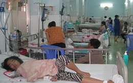 TP Cần Thơ: Số bệnh nhân sốt xuất huyết tăng cao