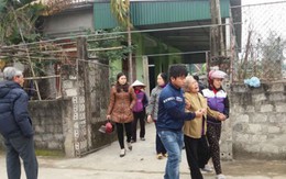 Đau lòng trâu "điên" húc chêt người đang cày ruộng