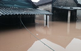 Cảnh báo lũ trên các sông từ Nghệ An đến Khánh Hòa