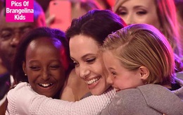 Sau cú sốc bố mẹ ly hôn, lũ trẻ nhà Angelina Jolie muốn về nhà đến phát khóc