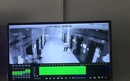 Hà Nội: Cô gái trẻ bị xịt hơi cay, cướp tài sản trong thang máy
