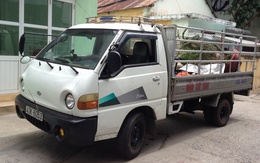 Đà Nẵng: Hai “con nghiện” lái xe tải đi trộm cây cảnh