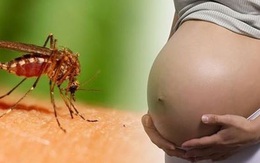 Zika có thể gây nên tình trạng yếu cơ và liệt