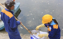 Vì sao bao cao su nổi trắng góc hồ Linh Đàm?