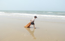 Vụ cá chết "bí ẩn": Cậu bé nhặt ve chai trên bãi biển gây xúc động mạnh