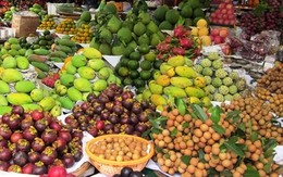 Rau quả Thái Lan vượt Trung Quốc dẫn đầu thị trường Việt