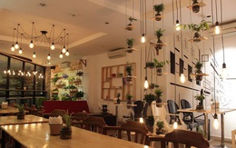 5 quán cà phê không gian xanh ở Hà Nội