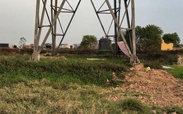 Nghi án nam thanh niên bị sát hại ở cánh đồng