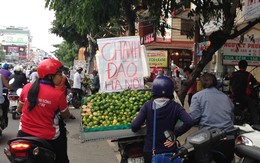 Bán dạo chanh đào tại Sài Gòn kiếm tiền triệu mỗi ngày