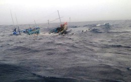 Mưa lũ nghiêm trọng ở Quảng Bình: Chìm nhiều tàu cá, ngư dân mất tích