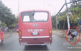 Cơ quan công an phản hồi vụ nữ sinh nghi bị sàm sỡ giữa đường: Chỉ đùa giỡn với nhau