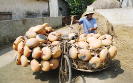 Chuyện lạ ở “làng nồi đất” duy nhất xứ Nghệ