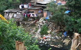 Vĩnh Phúc: Ô nhiễm môi trường nông thôn  ngày càng gia tăng