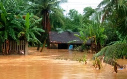 Thương lắm, mẹ miền Trung!