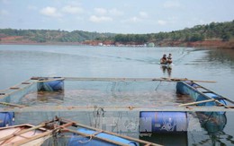 Thị xã Gia Nghĩa, tỉnh Đắk Nông: Ba nguy cơ gây ô nhiễm nguồn nước sinh hoạt