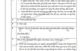 Giáo viên tranh cãi, học sinh hoang mang vì đề thi Văn vào lớp 10