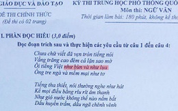 Có phải là sính chữ?