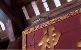 Hãi hùng nhìn con trăn "mắc võng" trên ngôi đền ở Nam Định