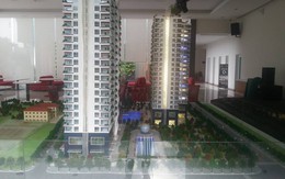 Dự án Diamond Lotus Lake View của Phúc Khang Corp: Rao bán dù chưa có giấy phép xây dựng