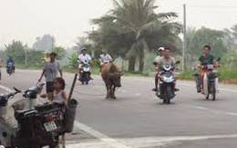 Hải Phòng: Tai nạn giao thông kép, 4 người thương vong