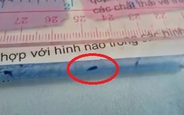 Giáo viên, học sinh hốt hoảng vì giòi lúc nhúc trong ruột bút