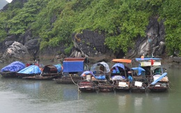 Tin mới nhất về bão số 3: Quảng Ninh cấm tàu tham quan Vịnh Hạ Long