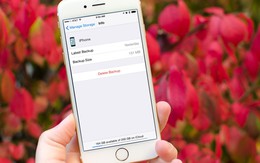 Cướp giật điện thoại xong giả công an xin mật khẩu và iCloud
