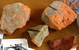 Vợ dùng gạch đập chồng chết trên giường ngủ