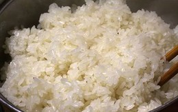 Ngộ nhận về sự khác nhau giữa gạo nếp và gạo tẻ