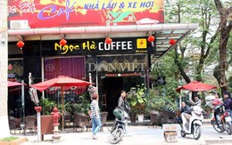 Hai giám đốc du lịch choảng nhau nhập viện
