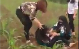 Xôn xao clip nữ sinh bị đánh hội đồng giữa cánh đồng ngô