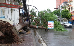 Tại hai tỉnh Hải Phòng và Quảng Ninh: Nhiều công trình dân sinh, lớp học bị hư hại trong bão số 1
