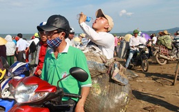 Cá voi “khủng” chết ở vùng biển Nghệ An: Thanh niên đội nắng nhặt rác