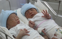 Hành trình tìm kiếm con và mang thai hộ cặp song sinh đầu tiên Việt Nam